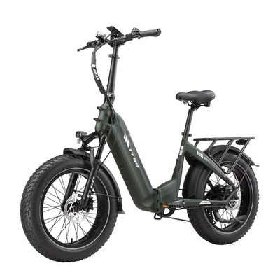 TTGO F6 Boost 20 Inch Electric Bike 48V 18Ah 250W Shimano 7 Speed E-Cross Bike