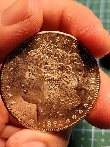 1891 S Morgan Silver Dollar PL/ Semi PL Brilliant Uncirculated (Video)