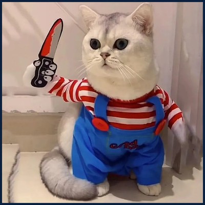 Funny Cat Clothes Cosplay Costumes For Small Medium Dog Cats Creative
