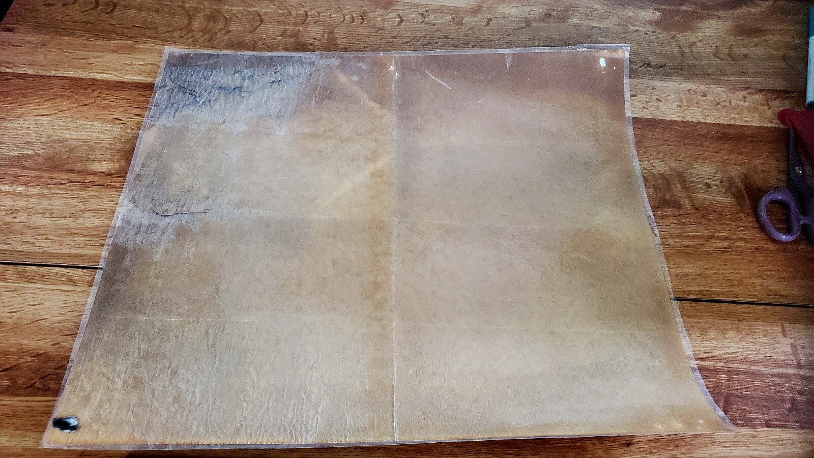 Antique Reproduction of 1612 Virginia Map Made by Virginia Historical Society