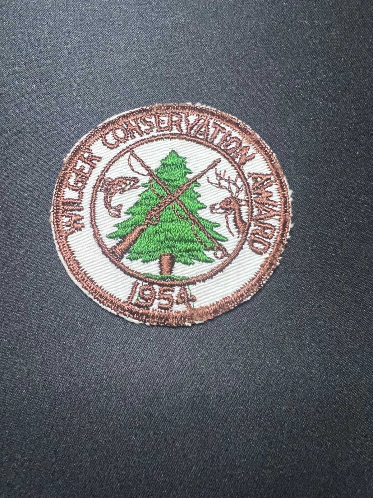 Patch Vintage Conservation Award – Keystone State Pennsylvania – Écusson Collection