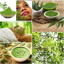500g Neem Leaf Powder Azadirachta Indica 17.6 oz Churna Organic Dried Free Ship