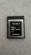 Sony G-Series QD-G120F 120GB Flash-Speicherkarte