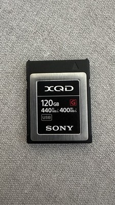 Sony G-Series QD-G120F 120GB Flash-Speicherkarte