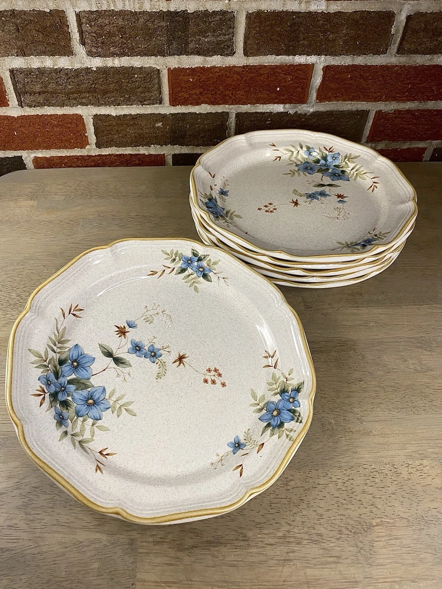 Mikasa 蓝色石质餐具盘| eBay