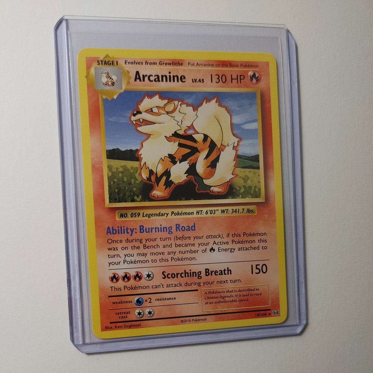 Arcanine 18/108 XY Evolutions Set 2016 Non-Holo Pokémon Trading