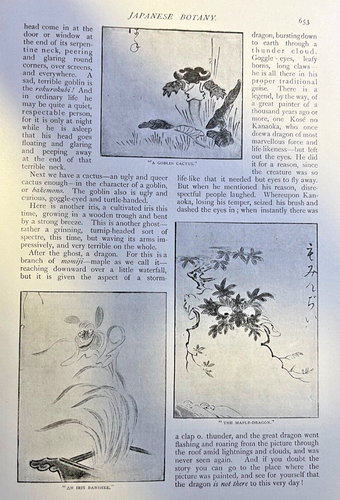 1901 Japanese Botany illustrated - Picture 4 of 4