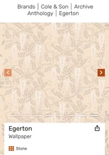 Cole & Son Anthropologie Wallpaper Single Roll Egerton Pattern 63/8052 Batch BB1