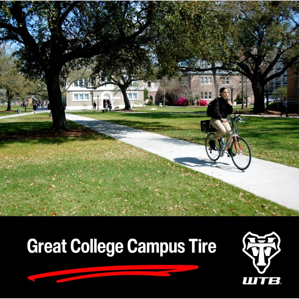 Neumático ThickSlick Comp Foto 4 de 4