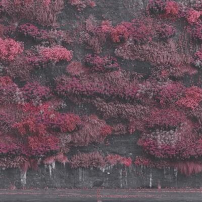 Sleep Token - Even In Arcadia CD | eBay