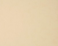 A.S. CréAtion Tapete Vliestapete 1632-26 Beige Creme Putz-Optik