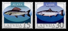 Fish. Grayling, Atlantic Salmon. 2W. Latvia 2003