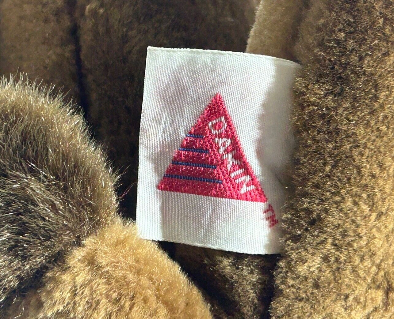 Foto 5 di 5