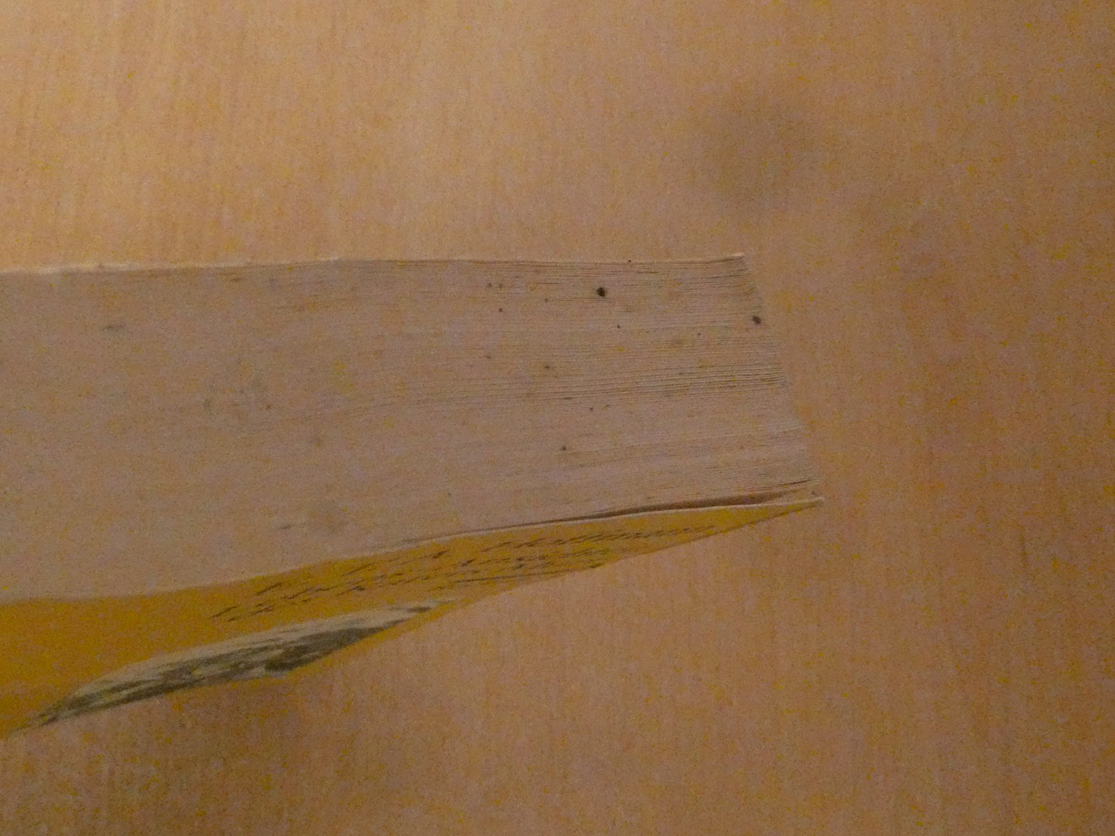 Bild 3 von 6
