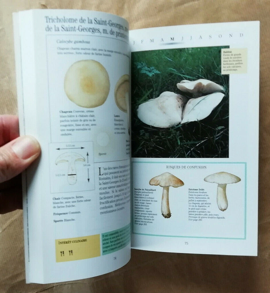 Photo 5/10