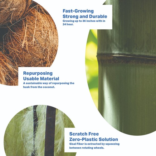PLANT OATH Bamboo Nail Brush Set (3 Pack) | Sustainable Gift | Zero Plastic Bath - Picture 12 of 13