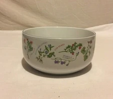 Garden Collection 8"x 4" Round Serving Bowl Herbs