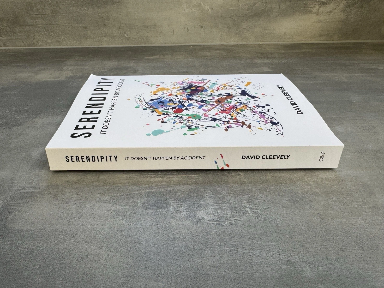 Serendipity It Doesn't Happen by Accident David Cleevely Brand New 2
