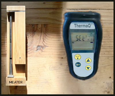 thermoworks thermoQ + Meater Pro