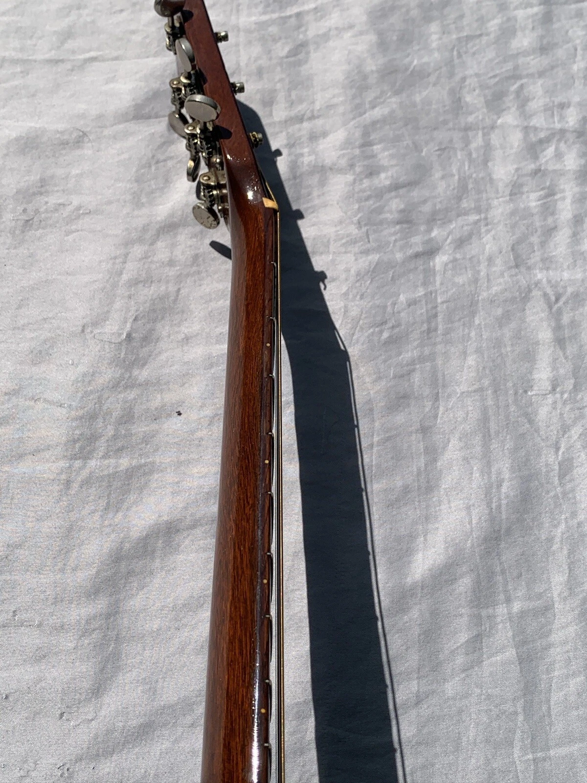 Picture 8 of 20