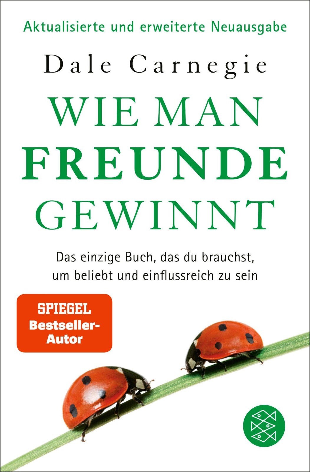 Bild 2 von 3