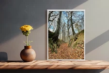 Printable Photo Digital Image Picture Wallpaper Background JPG Wall Art Forest
