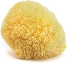 Neptune Caribbean Sea Sponge, Large Approx. 6-7 Inch , Natural Bath Facial