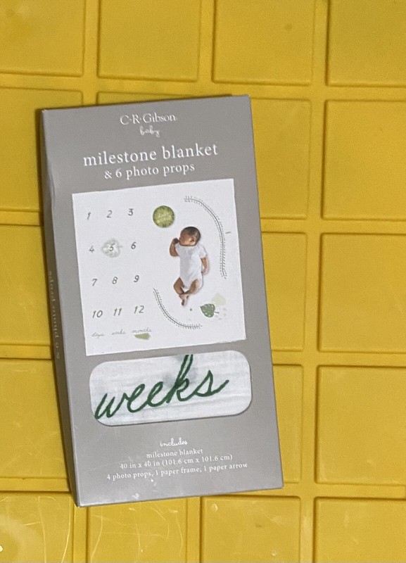 CR Gibson Baby Milestone Blanket 40”x40” & 6 Photo Props New In Box