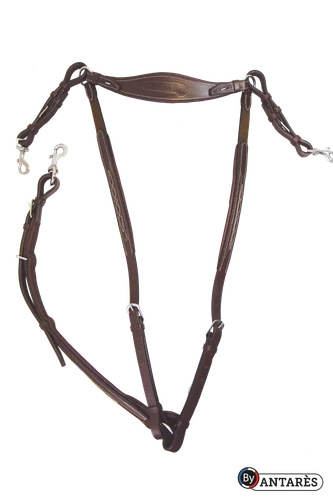 Signature by Antares breastplate with bridge size 2