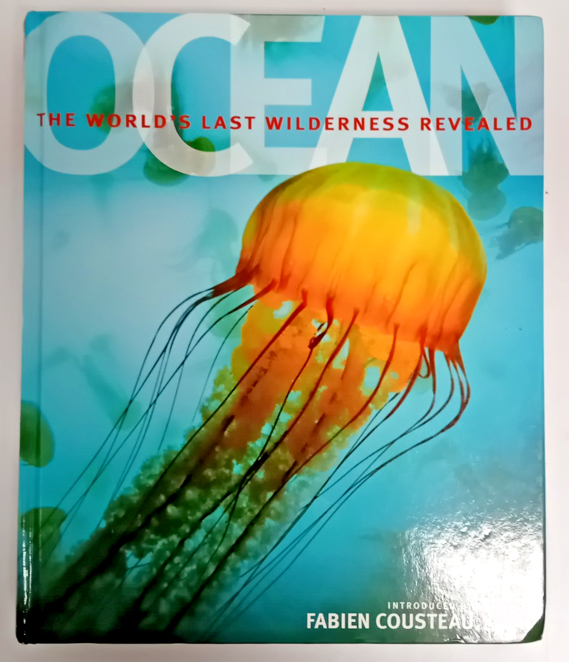 Ocean: The World's Last Wilderness Revealed by DK (Hardcover, 2008)