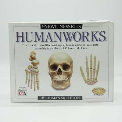 Human Works Skeleton Kit DIY Model Eyewitness Kit Made In USA NEW