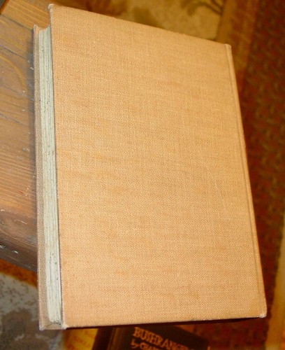 Elbert Hubbard of East Aurora, by Felix Shay, 1st, HB, Roycraft, 1926, Illustra. - Picture 6 of 6