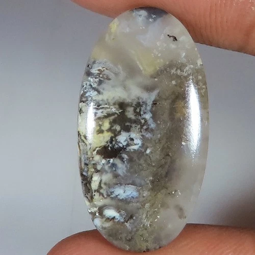 Natural Tiger Dendrite Agate Oval Cabochon Gemstone 21.80 Cts 15x29x5 mm GY05
