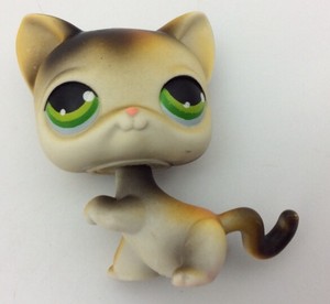 lps calico cat