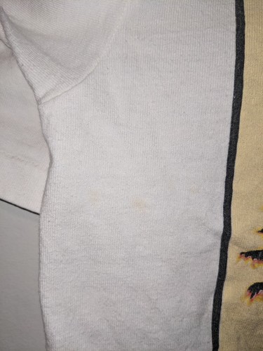 Vintage 1994 Eagles Hotel California Hell Freezes Over Band Music Large T-Shirt - Picture 5 of 7