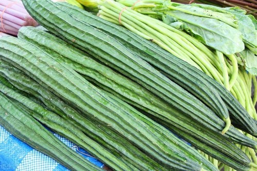 10 semi cetriolo spugnoso Luffa angolato zucca spugna cylindrica classifica - Foto 3 di 3