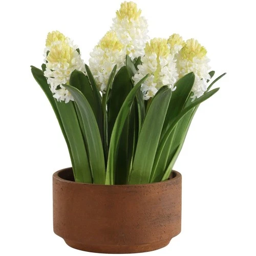 Uttermost 60242 Sincerity White and Green and Terracotta Potted Hyacinth Plant - Picture 2 of 5
