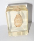 Foto 3 di 6