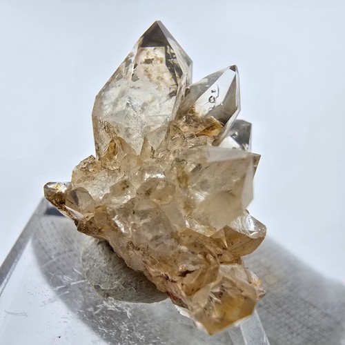 Phantom Rauchquarz DT Zepter Stufe Goboboseb, Namibia 23*21*25mm - Bild 6 von 6