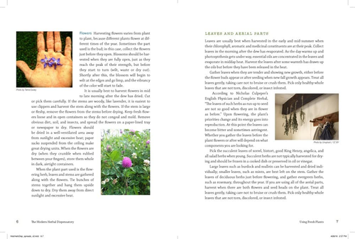The Modern Herbal Dispensatory: A Medicine-Making Guide Paperback, Illustrated - Imagen 5 de 12