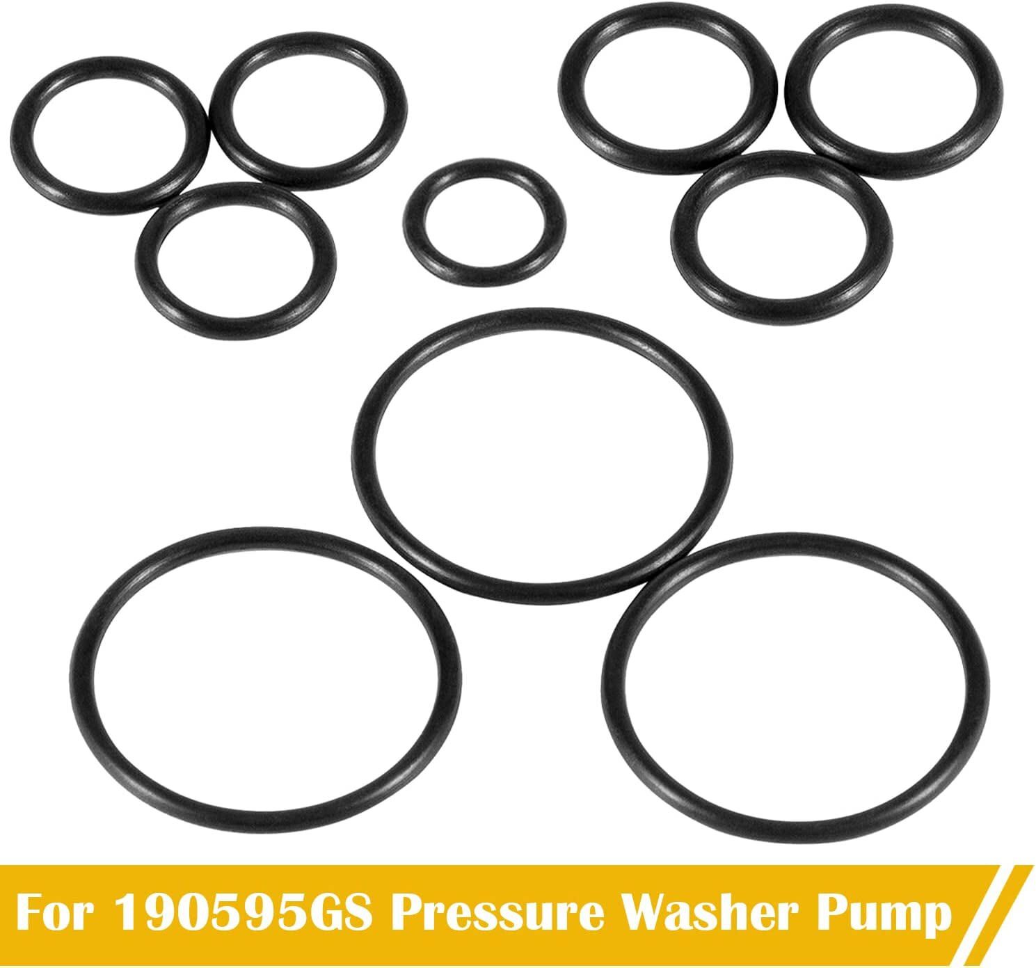 190595GS Pressure Washer Seal Kit For Briggs & Stratton Pumps 580752550
