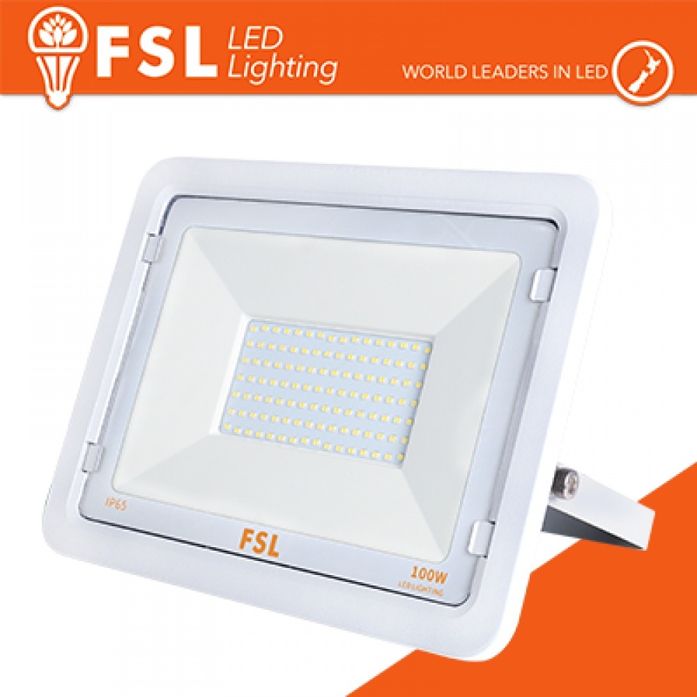 Faretto LED 100W Esterno Bianco Impermeabile IP65 Luce Giardino 4000K