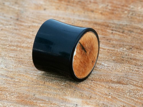 Horn Plug Flesh Tunnel Fossil Mammut Piercing Horn schwarz 6-16 mm - Bild 11 von 11