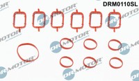Dr.Motor Automotive DRM0110SL Dichtungssatz FüR BMW & Land Rover AnsaugkrüMmer
