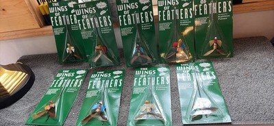The Wings Of Feathers, All Ham Crafted And Painted