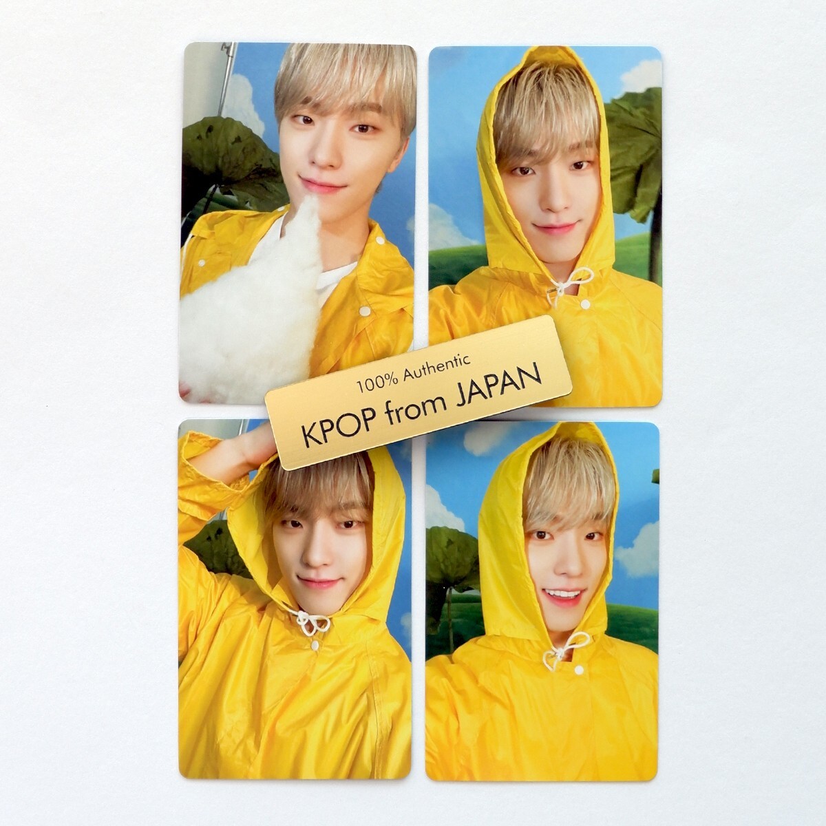 ディノ spongemusic トレカ SEVENTEEN heaven SEVENTEEN DINO HEAVEN sponge music spongemusic Official