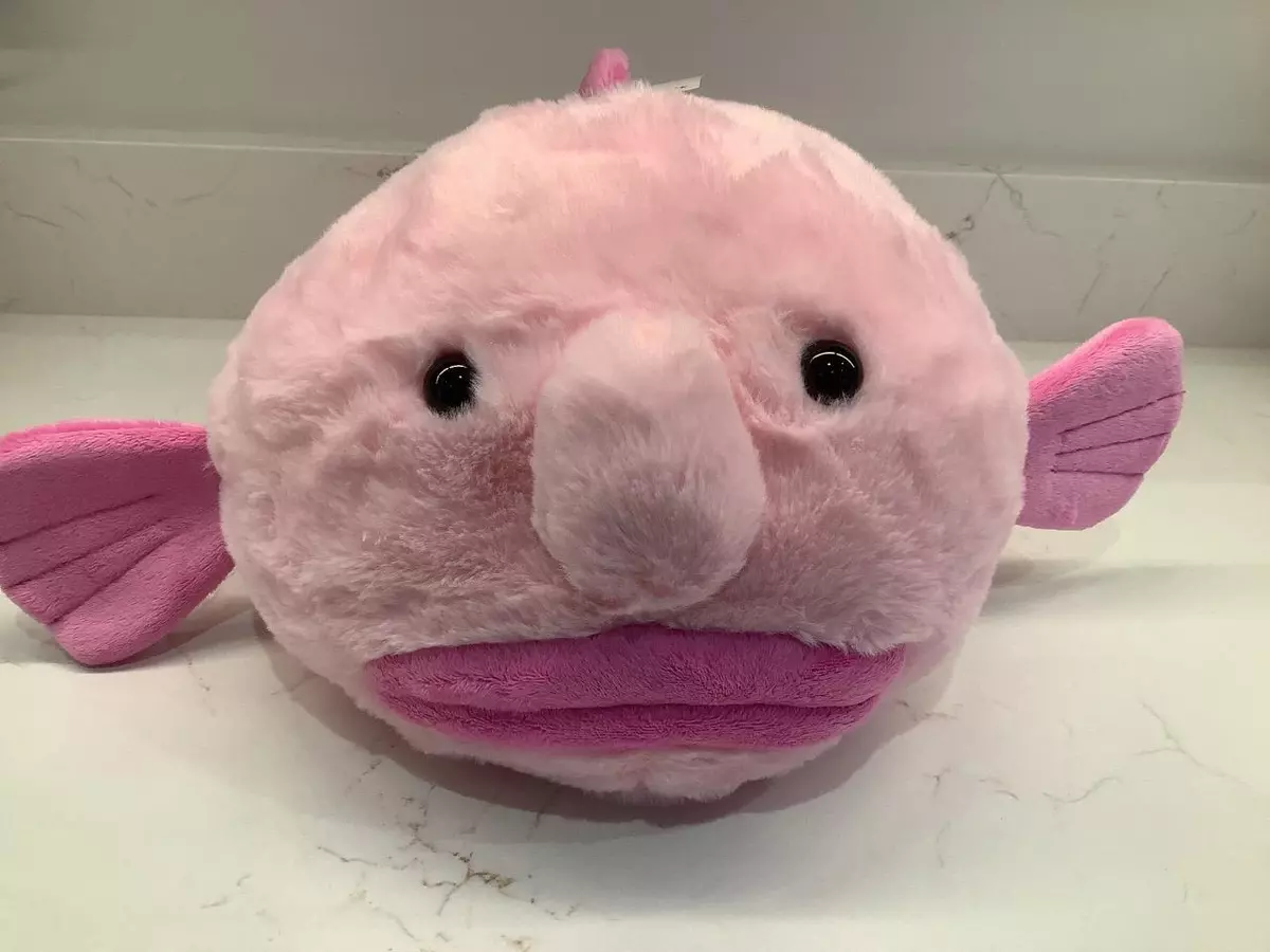 The blob fish 