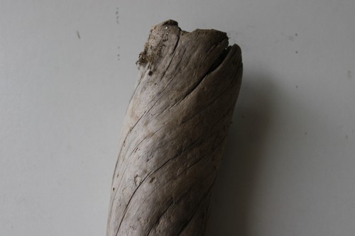 Treibholz Schwemmholz Driftwood 1 Stamm Dekoration Terrarium 49 cm - Bild 2 von 13