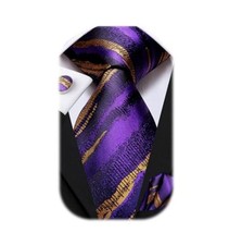 Mens Paisley Floral Silk Tie for Men Striped Necktie and Pocket B Purple Gold