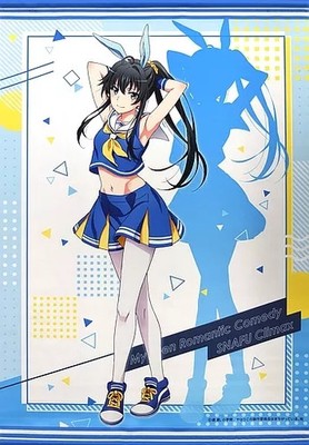 Yukino Yukinoshita Cheer Bunny B2 Tapestry OreGairu My Teen Novel